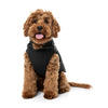 FuzzYard Dog Apparel Horizon Harness Jacket Size 5-Habitat Pet Supplies