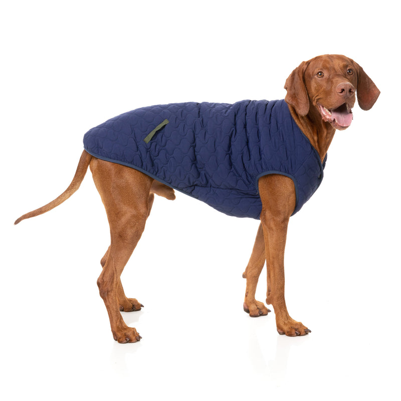 FuzzYard Dog Apparel Nara Reversible Jacket Dark Moss and Navy Blue Size 4