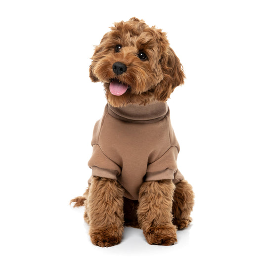 FuzzYard Dog Apparel Stevie Sweater Latte Size 6
