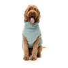 FuzzYard Dog Apparel Turtle Teddy 25 Sweater Arctic Blue Size 2 ^+^