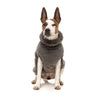FuzzYard Dog Apparel Turtle Teddy 25 Sweater Gunmetal Grey Size 4 ^+^