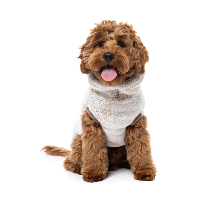 FuzzYard Dog Apparel Turtle Teddy 26 Sweater Frosted Latte Size 1-Habitat Pet Supplies