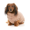 FuzzYard Dog Apparel Turtle Teddy Sweater Chai Size 6