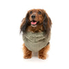 FuzzYard Dog Apparel Turtle Teddy Sweater Rosemary Size 6