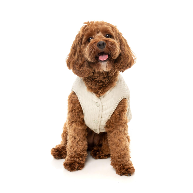 FuzzYard Dog Apparel Umeda Jacket Bone Size 2