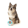 FuzzYard Dog Toy Tamadogchi