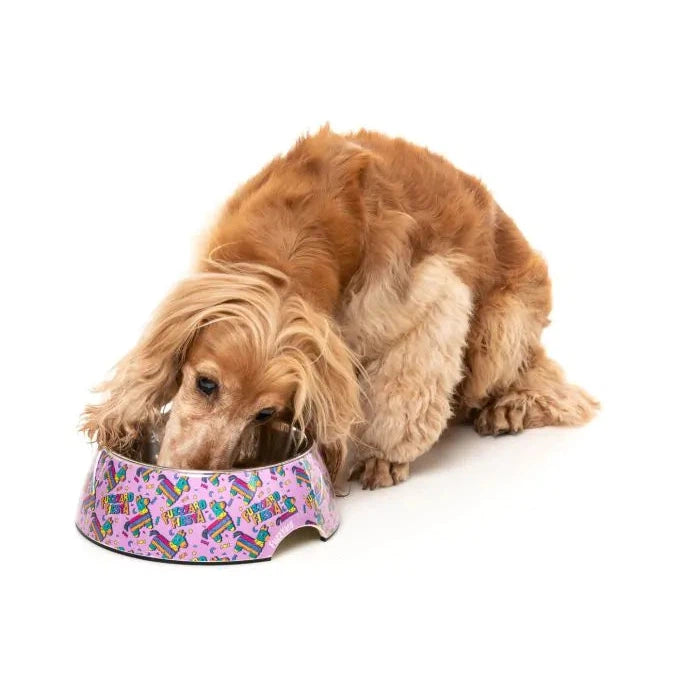 FuzzYard Fiesta Dog Bowl Large