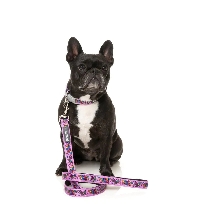 FuzzYard Fiesta Dog Lead Small
