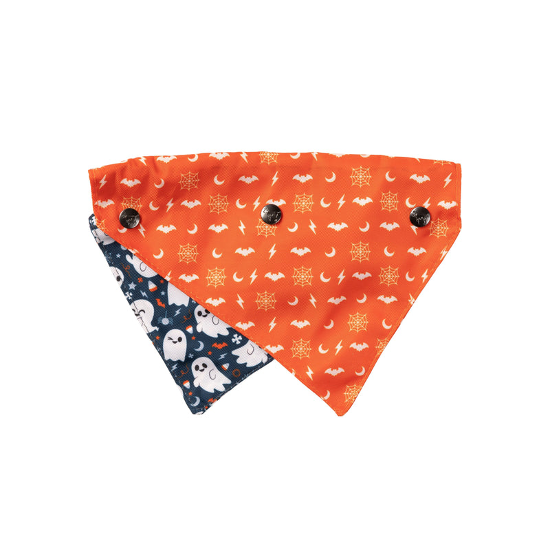 FuzzYard Halloween Bandana and Bow Tie Set Thats the Spirt for Small to Medium Size Dogs***