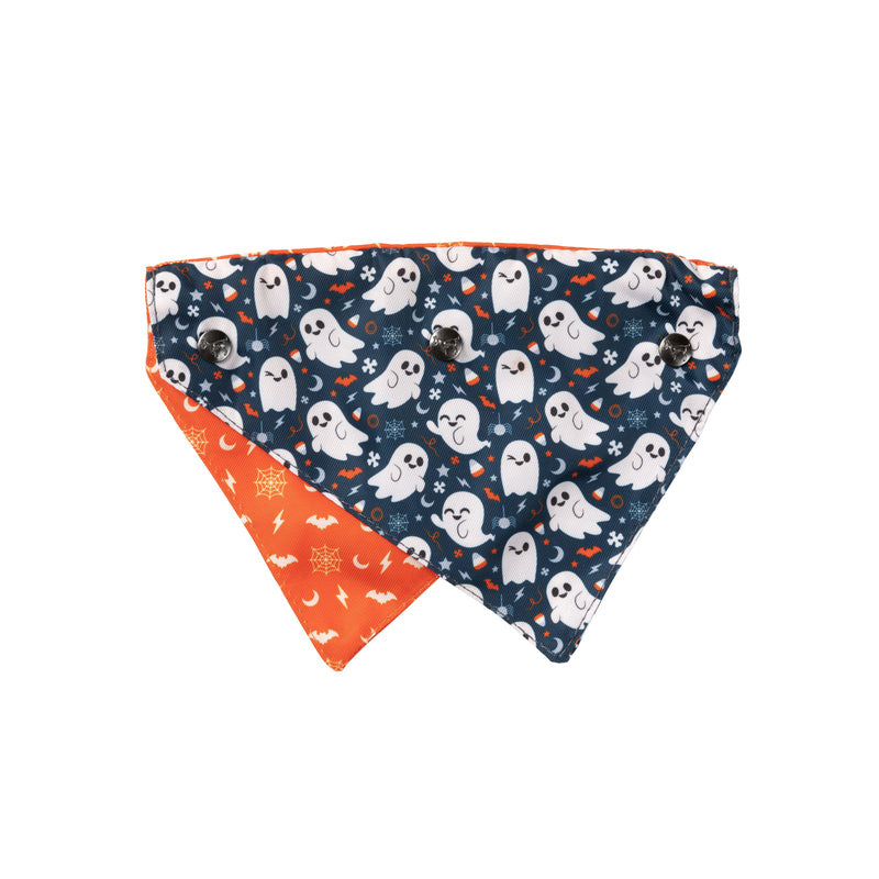 FuzzYard Halloween Bandana and Bow Tie Set Thats the Spirt for Small to Medium Size Dogs***