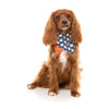 FuzzYard Halloween Bandana and Bow Tie Set Thats the Spirt for Small to Medium Size Dogs***