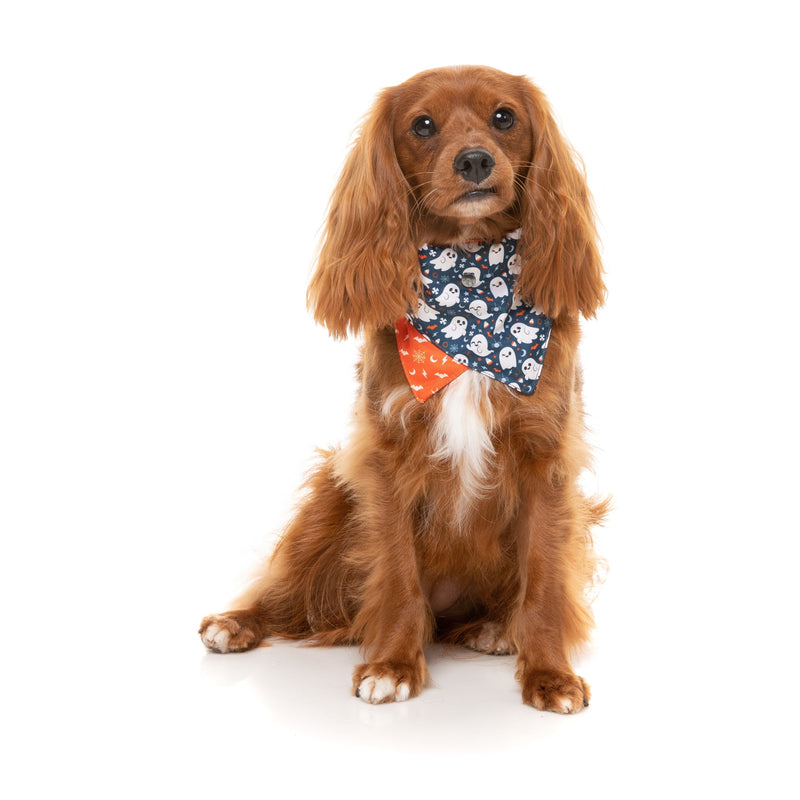 FuzzYard Halloween Bandana and Bow Tie Set Thats the Spirt for Small to Medium Size Dogs***