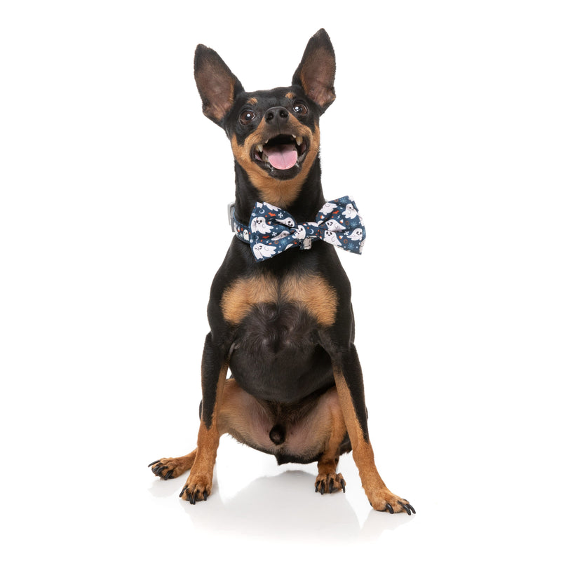 FuzzYard Halloween Bandana and Bow Tie Set Thats the Spirt for Small to Medium Size Dogs***