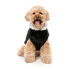 Fuzzyard Halloween Dog Apparel Jerry Spinefield Hoodie Size 5 --^--