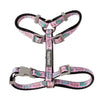 FuzzYard Meowcarons Cat Harness and Lead Walking Set