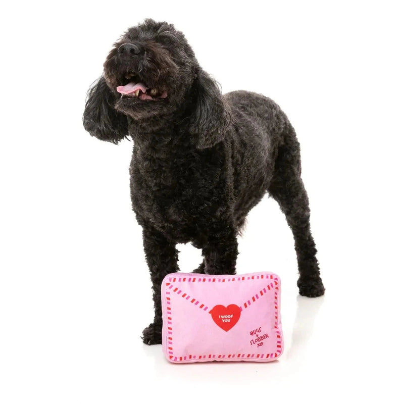 FuzzYard Valentines Day Love Letter Plush Dog Toy