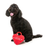 FuzzYard Valentines Day Love You Fur-Ever Lock Plush Dog Toy