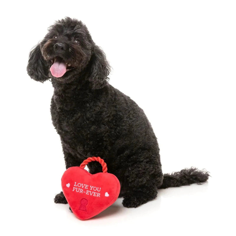 FuzzYard Valentines Day Love You Fur-Ever Lock Plush Dog Toy