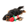 FuzzYard Valentines Day Wrapped Rose Plush Dog Toy