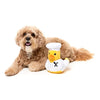 FuzzYard Waddle Squad-dle Gordon Quacksay Plush Dog Toy (+_+)