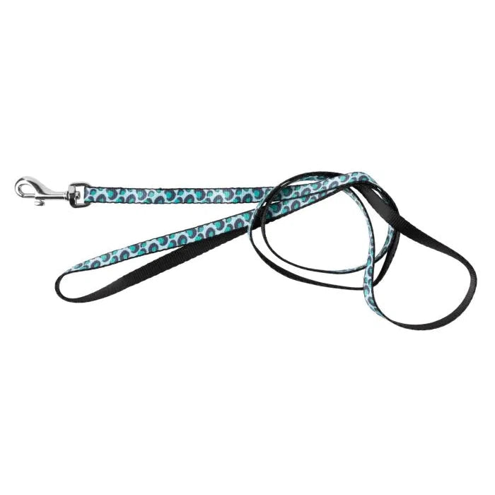 FuzzYard Wild One Aqua Cat Harness and Lead Walking Set