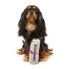FuzzYard Zoomie Energy Drink Soft Dog Toy