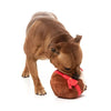 Fuzzyard Christmas Merry Puddin Dog Toy Small ***