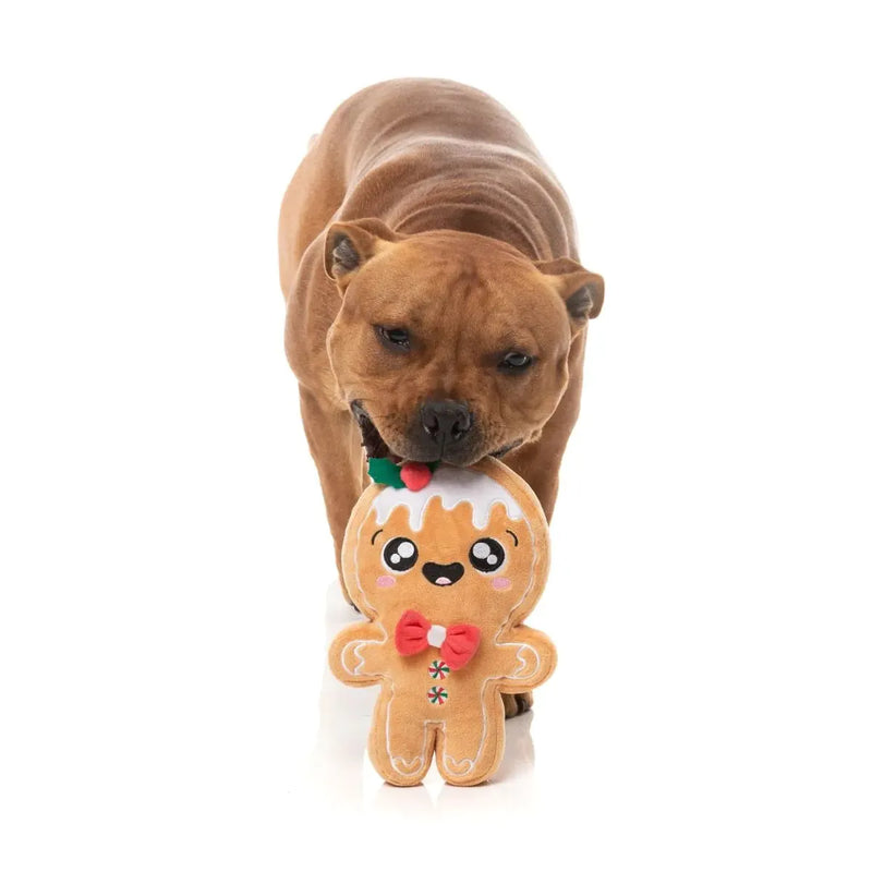 Fuzzyard Christmas Mistle-Dough Dog Toy Small