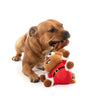 Fuzzyard Christmas Reggie Claus Reindeer Dog Toy Large