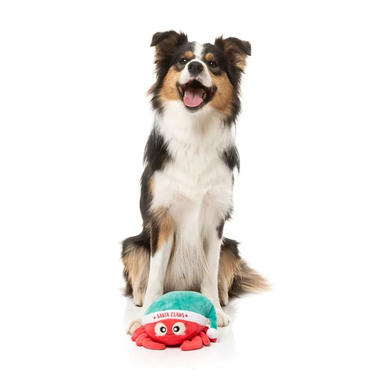 Fuzzyard Christmas Santa Claws Dog Toy
