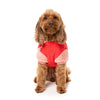 Fuzzyard Dog Apparel Winnie Hoodie Red Size 4-Habitat Pet Supplies