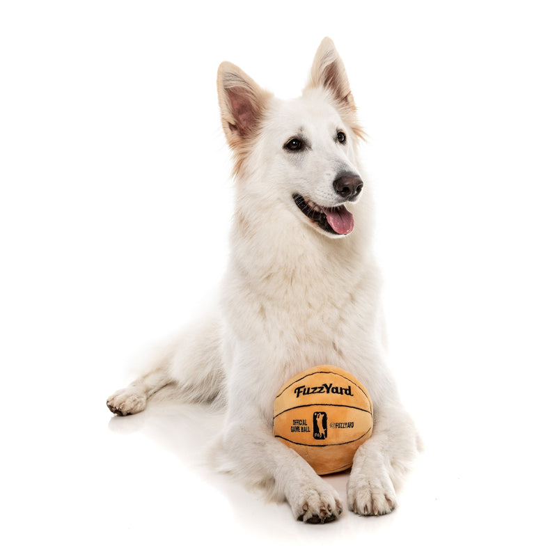 Fuzzyard Dog Toy Basketball :->>