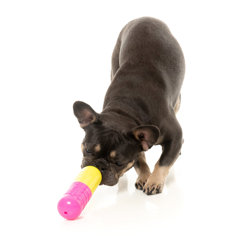 Fuzzyard Dog Toy Chill Pill