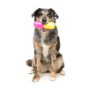 Fuzzyard Dog Toy Chill Pill