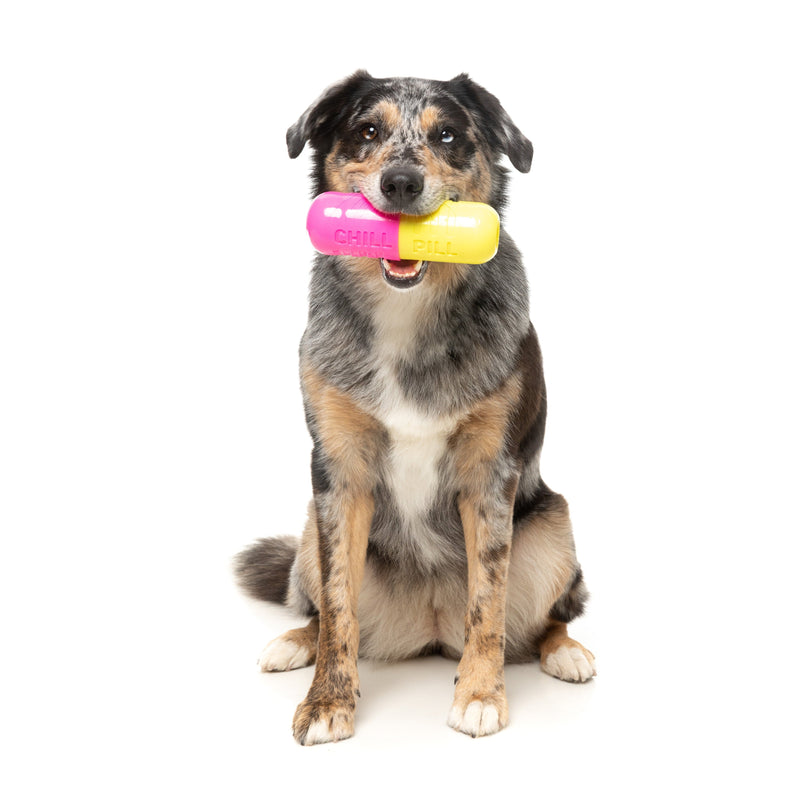 Fuzzyard Dog Toy Chill Pill