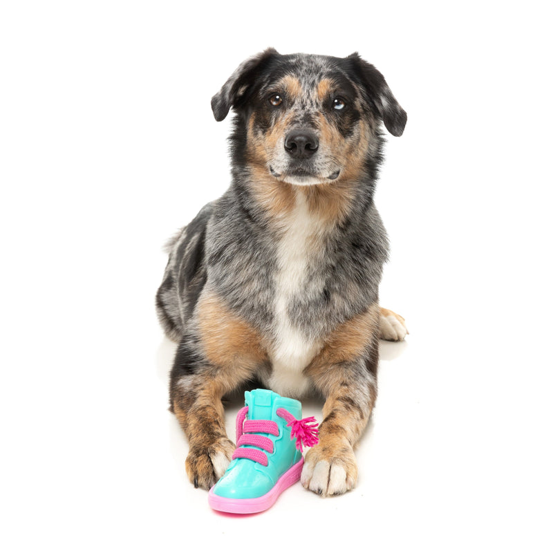 Fuzzyard Dog Toy Fresh Kicks n Licks