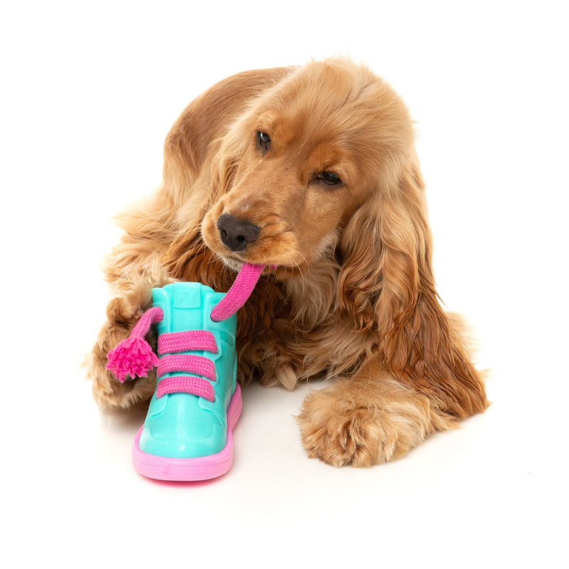 Fuzzyard Dog Toy Fresh Kicks n Licks