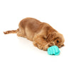 Fuzzyard Dog Toy Knuckle Sandwich