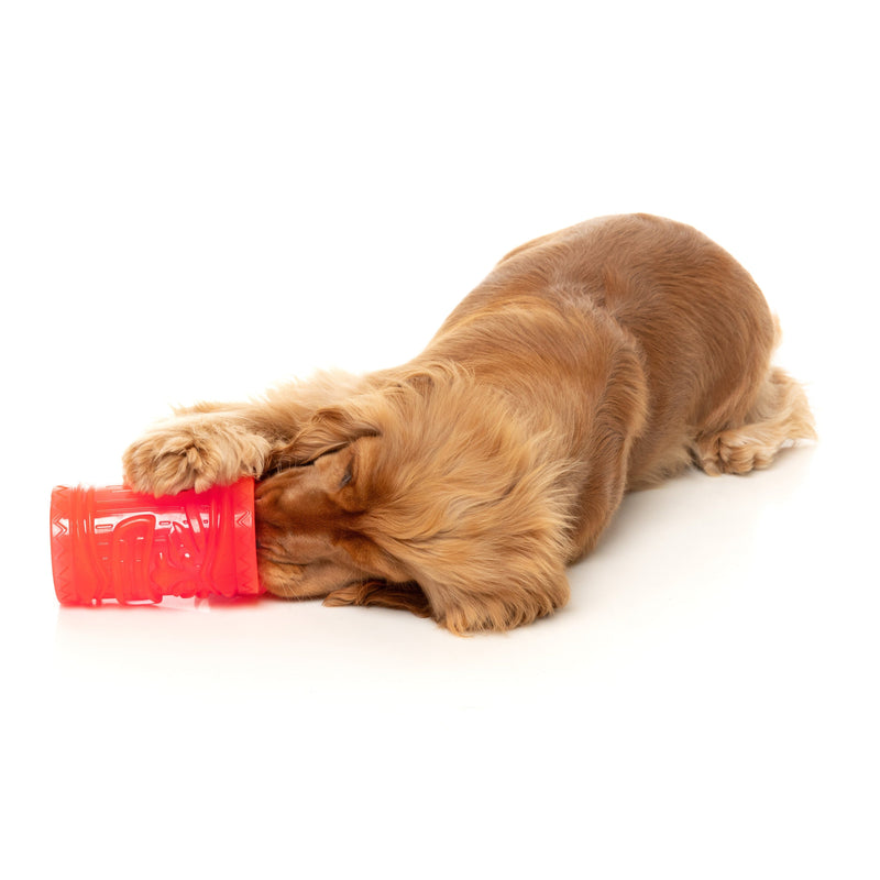 Fuzzyard Dog Toy Pina Coolada Freeze