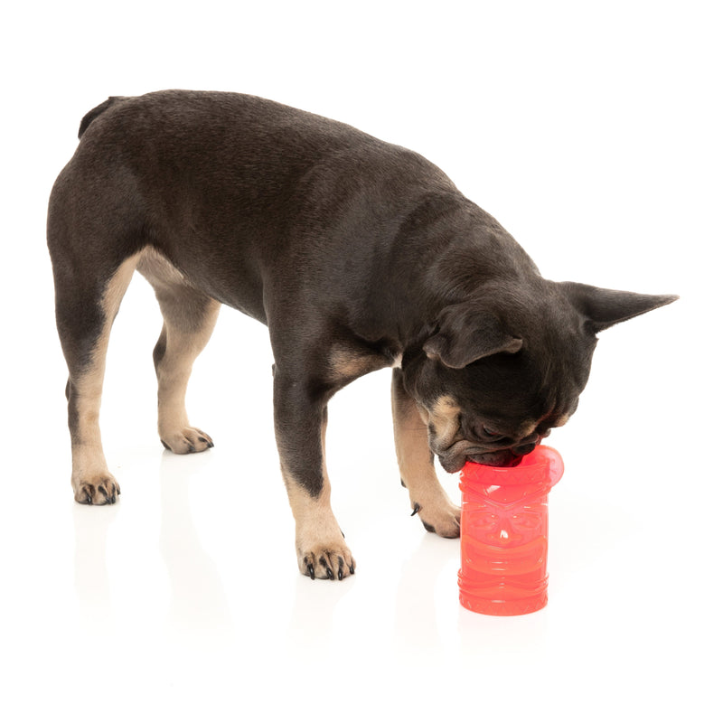 Fuzzyard Dog Toy Pina Coolada Freeze
