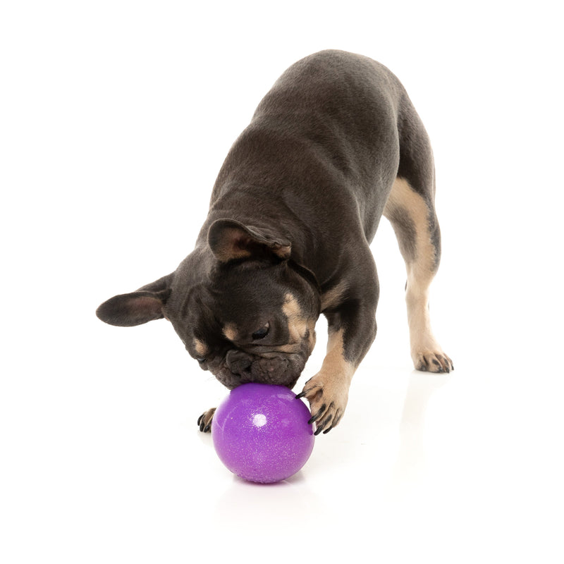 Fuzzyard Dog Toy Truth Tellin Treat Ball