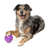 Fuzzyard Dog Toy Truth Tellin Treat Ball