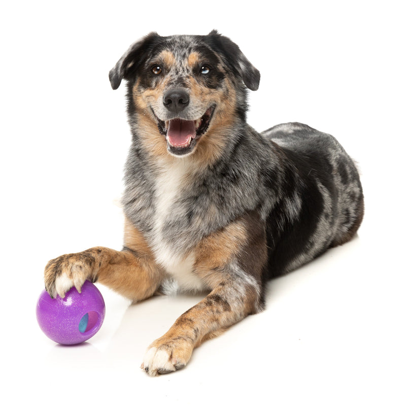Fuzzyard Dog Toy Truth Tellin Treat Ball