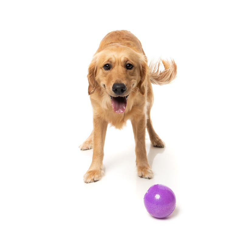 Fuzzyard Dog Toy Truth Tellin Treat Ball