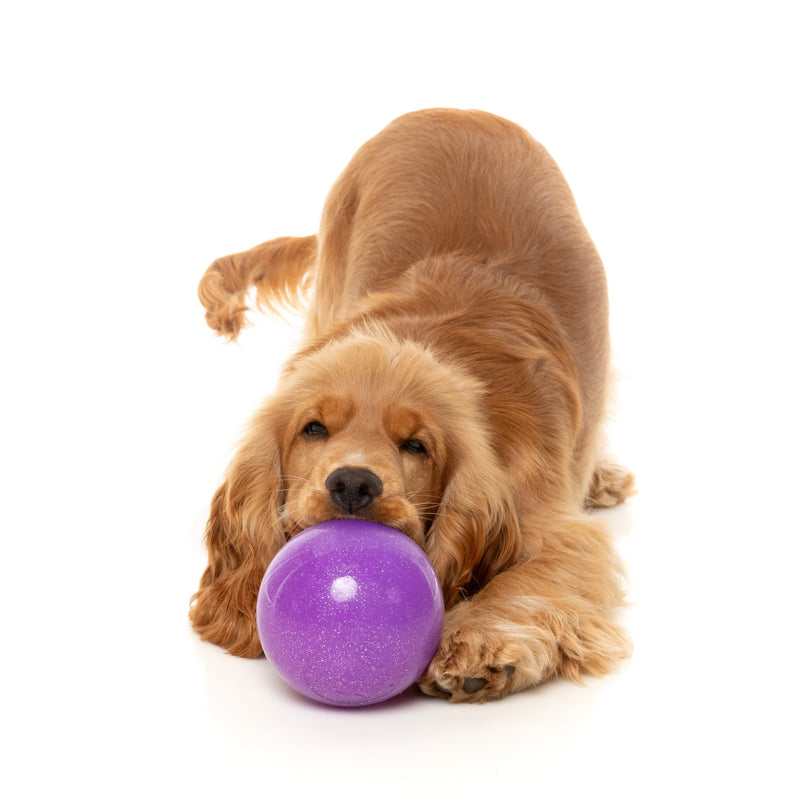 Fuzzyard Dog Toy Truth Tellin Treat Ball