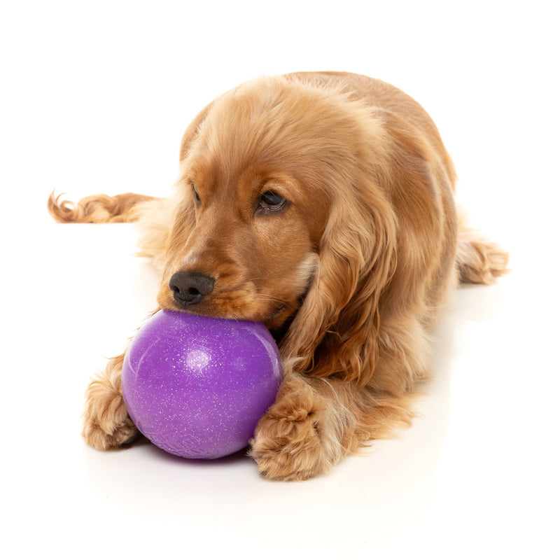 Fuzzyard Dog Toy Truth Tellin Treat Ball
