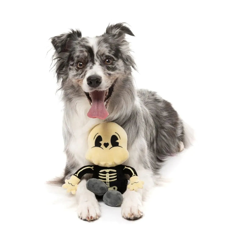 Fuzzyard Halloween Arthur-itis Dog Toy --^--