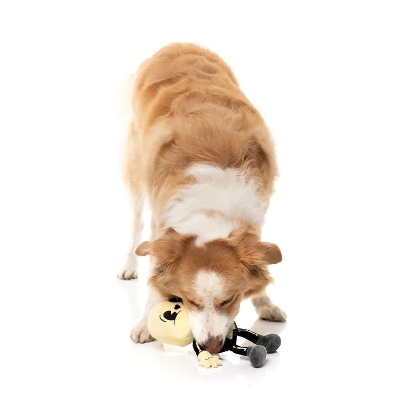 Fuzzyard Halloween Arthur-itis Dog Toy --^--