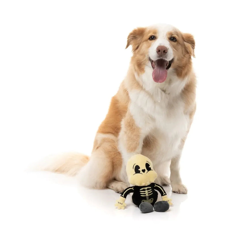 Fuzzyard Halloween Arthur-itis Dog Toy --^--