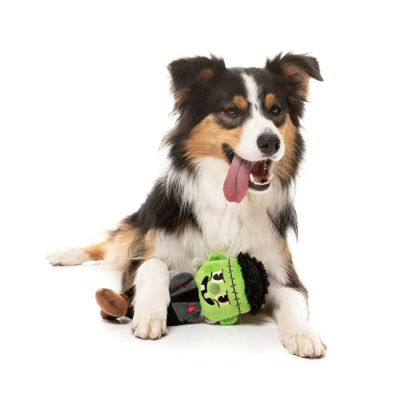 Fuzzyard Halloween Igor Dog Toy --^--